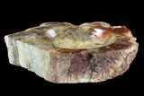 Polished Madagascar Petrified Wood Dish - Madagascar #96079-2
